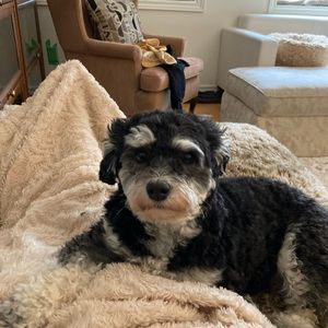 Meet your Posher, Bronwen